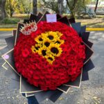 Mi sol
