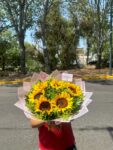 Lindos girasoles